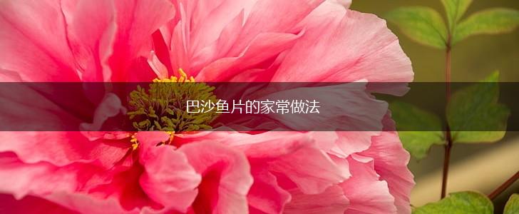 巴沙鱼片的家常做法,第1张
