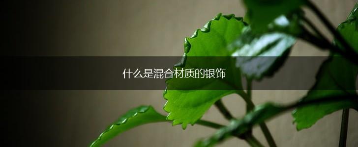 什么是混合材质的银饰,第1张