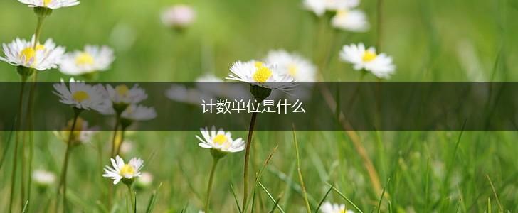 计数单位是什么,第1张