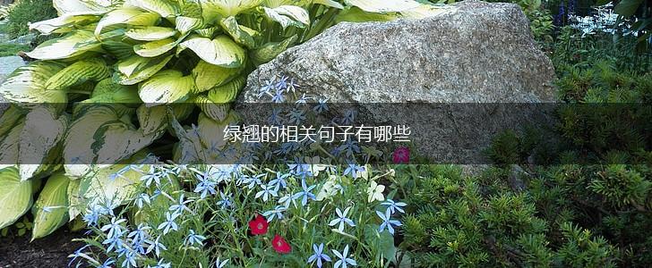 绿翘的相关句子有哪些,第1张