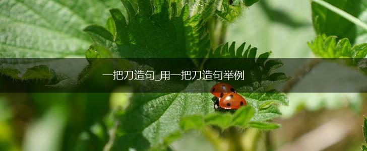 一把刀造句_用一把刀造句举例,第1张