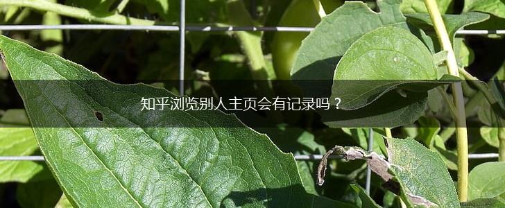 知乎浏览别人主页会有记录吗？,第1张