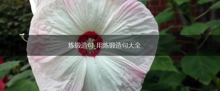炼锻造句_用炼锻造句大全,第1张