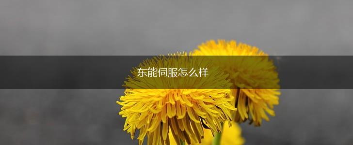 东能伺服怎么样,第1张