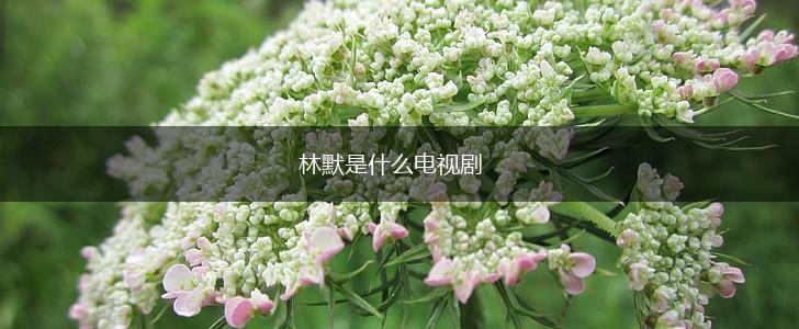 林默是什么电视剧,第1张