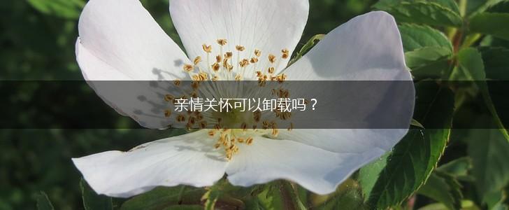 亲情关怀可以卸载吗？,第1张