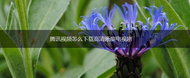 腾讯视频怎么下载高清晰度电视剧,第1张