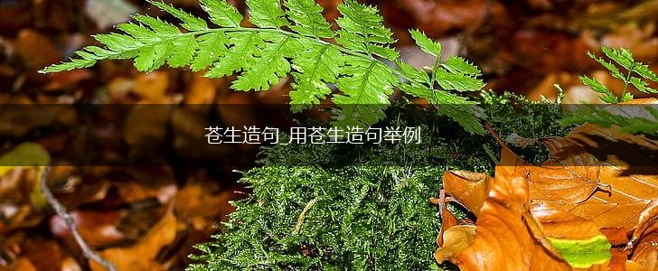 苍生造句_用苍生造句举例,第1张
