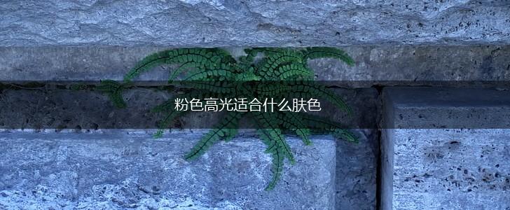 粉色高光适合什么肤色,第1张