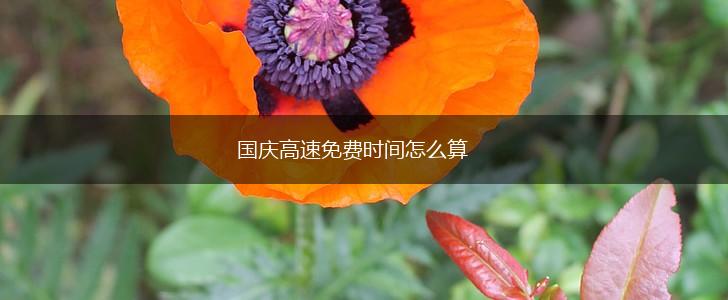 国庆高速免费时间怎么算,第1张