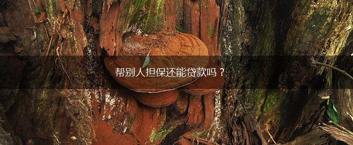 帮别人担保还能贷款吗？,第1张