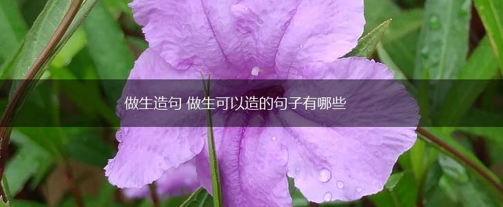 做生造句 做生可以造的句子有哪些,第1张