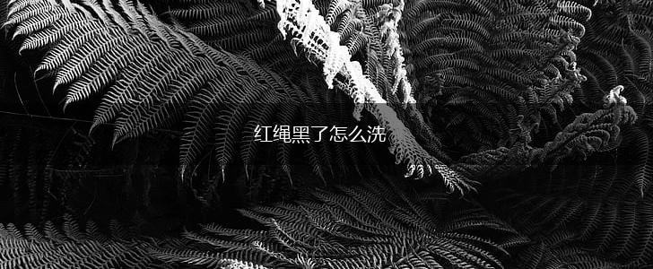 红绳黑了怎么洗,第1张