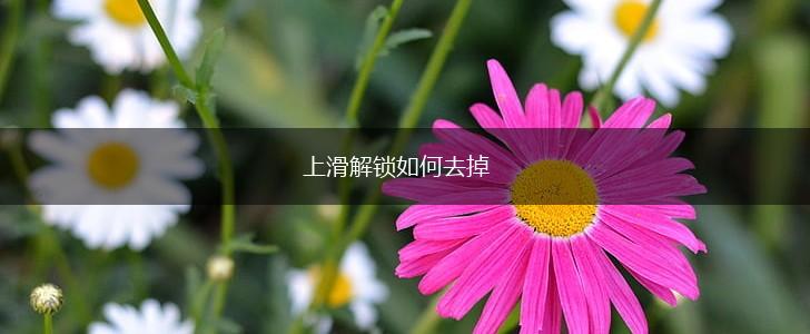 上滑解锁如何去掉,第1张
