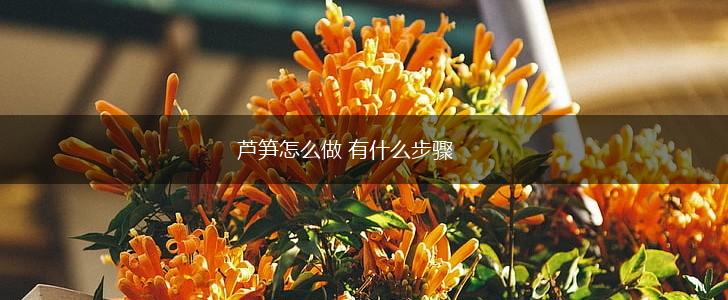 芦笋怎么做 有什么步骤,第1张