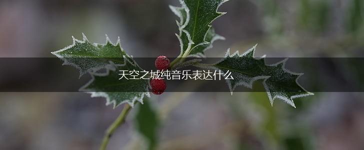天空之城纯音乐表达什么,第1张
