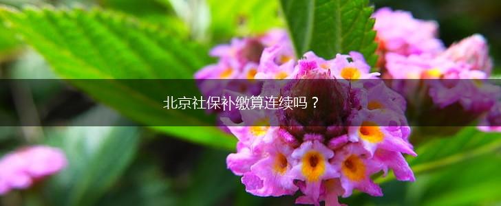 北京社保补缴算连续吗？,第1张