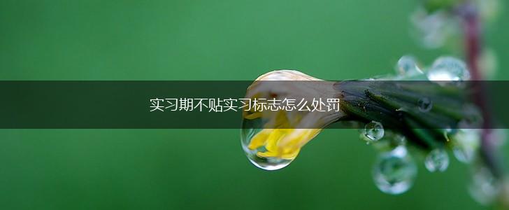 实习期不贴实习标志怎么处罚,第1张