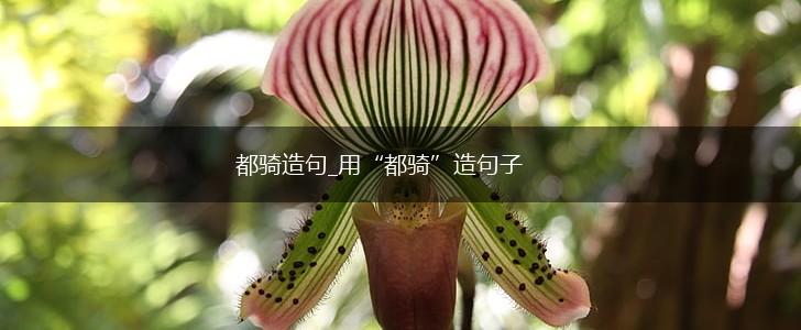 都骑造句_用“都骑”造句子,第1张