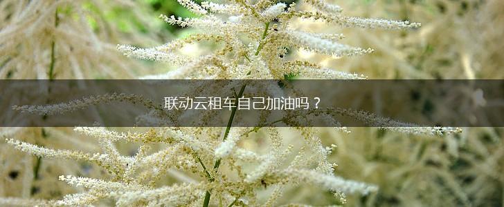联动云租车自己加油吗？,第1张