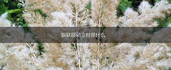 银联移动支付是什么,第1张