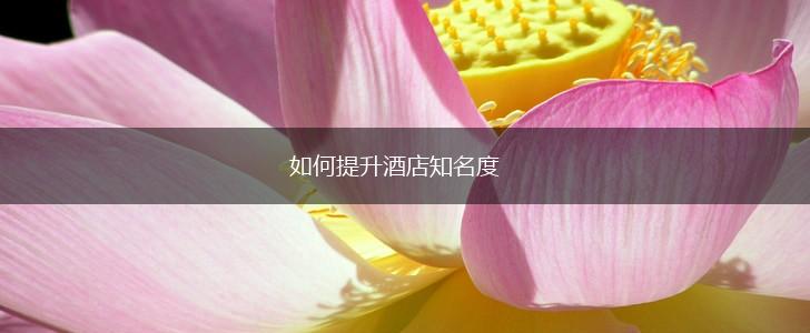 如何提升酒店知名度,第1张