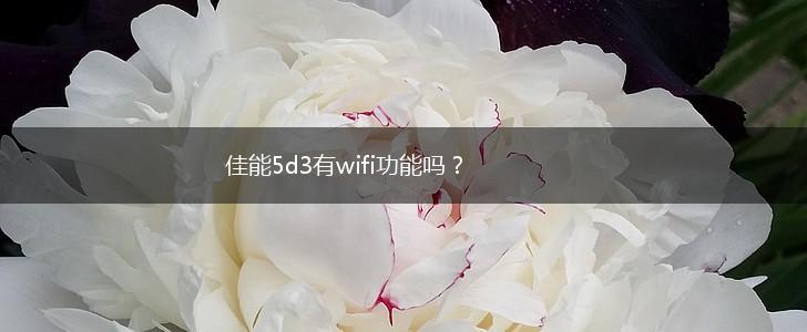 佳能5d3有wifi功能吗？,第1张