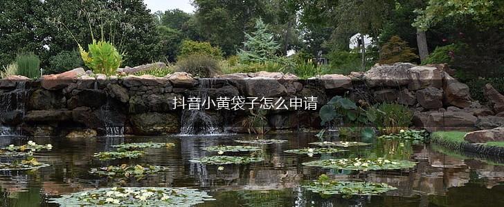 抖音小黄袋子怎么申请,第1张