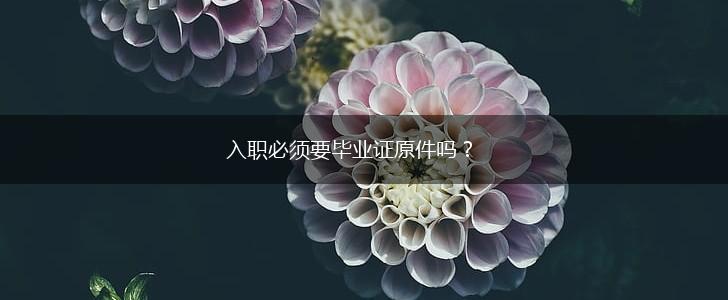 入职必须要毕业证原件吗？,第1张