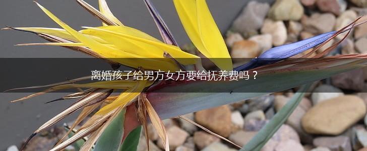 离婚孩子给男方女方要给抚养费吗？,第1张