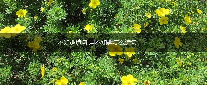 不知趣造句,用不知趣怎么造句,第1张