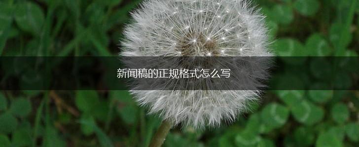 新闻稿的正规格式怎么写,第1张
