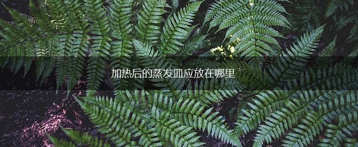 加热后的蒸发皿应放在哪里,第1张