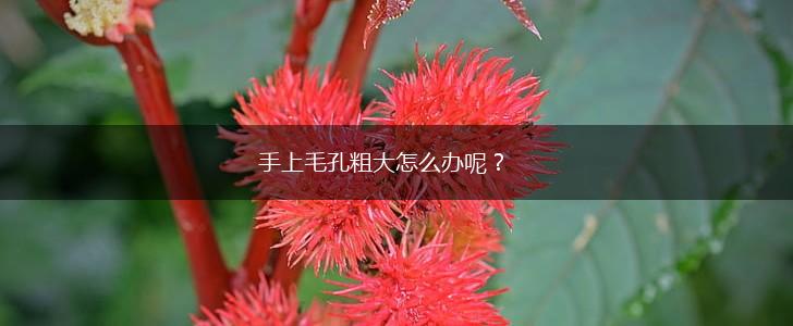 手上毛孔粗大怎么办呢？,第1张