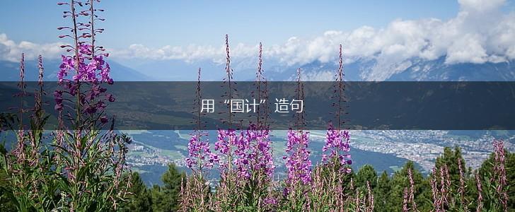 用“国计”造句,第1张