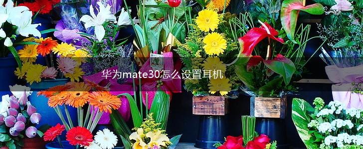 华为mate30怎么设置耳机,第1张