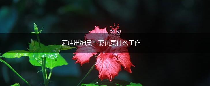 酒店出纳员主要负责什么工作,第1张