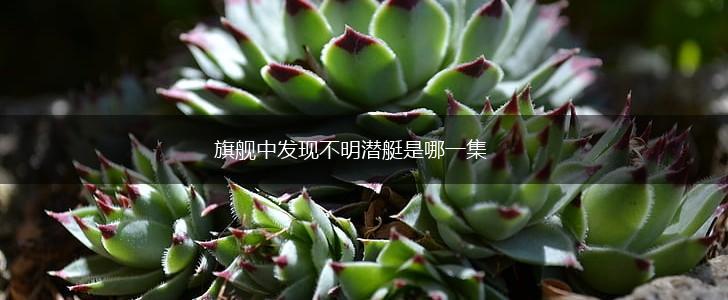旗舰中发现不明潜艇是哪一集,第1张
