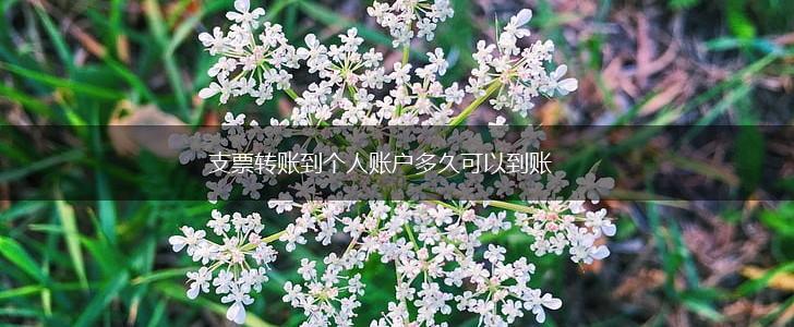支票转账到个人账户多久可以到账,第1张 支票转账到个人账户多久可以到账,第1张