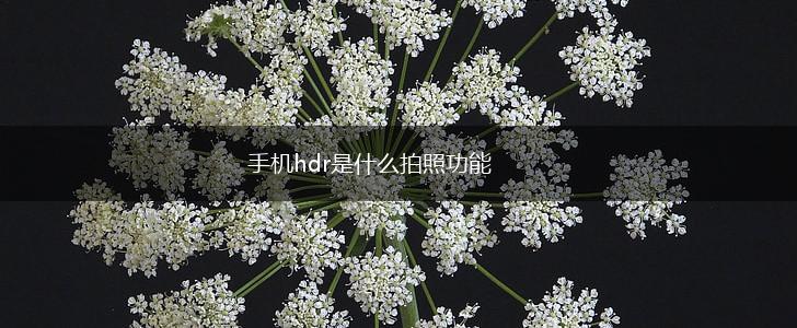 手机hdr是什么拍照功能,第1张