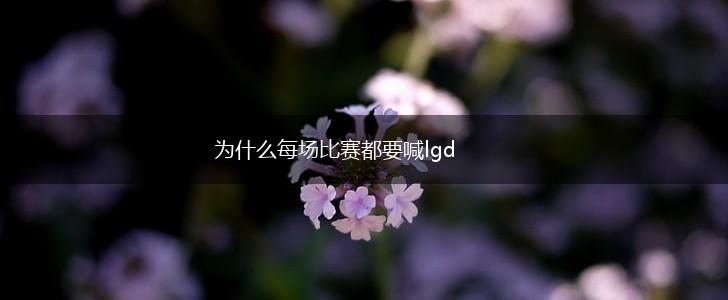 为什么每场比赛都要喊lgd,第1张