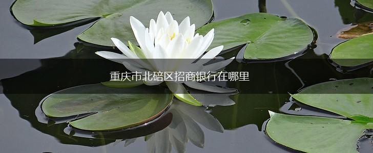 重庆市北碚区招商银行在哪里,第1张