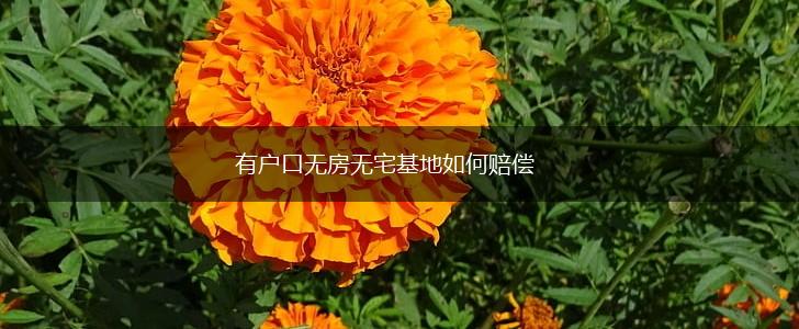 有户口无房无宅基地如何赔偿,第1张