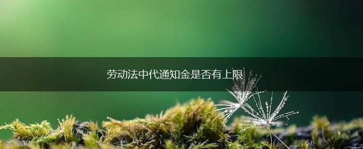 劳动法中代通知金是否有上限,第1张 劳动法中代通知金是否有上限,第1张