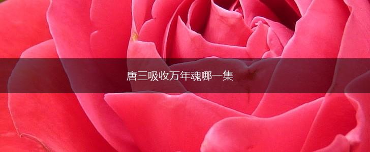 唐三吸收万年魂哪一集,第1张