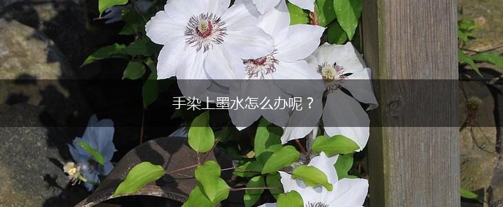 手染上墨水怎么办呢？,第1张