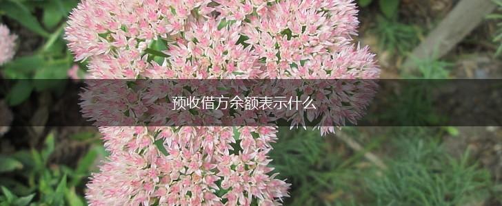 预收借方余额表示什么,第1张