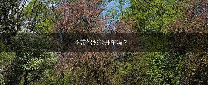 不带驾照能开车吗？,第1张