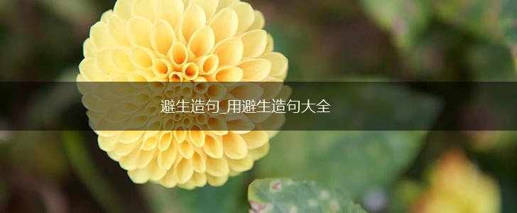 避生造句_用避生造句大全,第1张