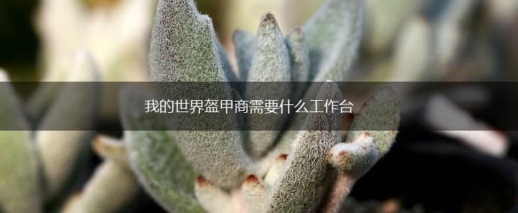 我的世界盔甲商需要什么工作台,第1张 我的世界盔甲商需要什么工作台,第1张
